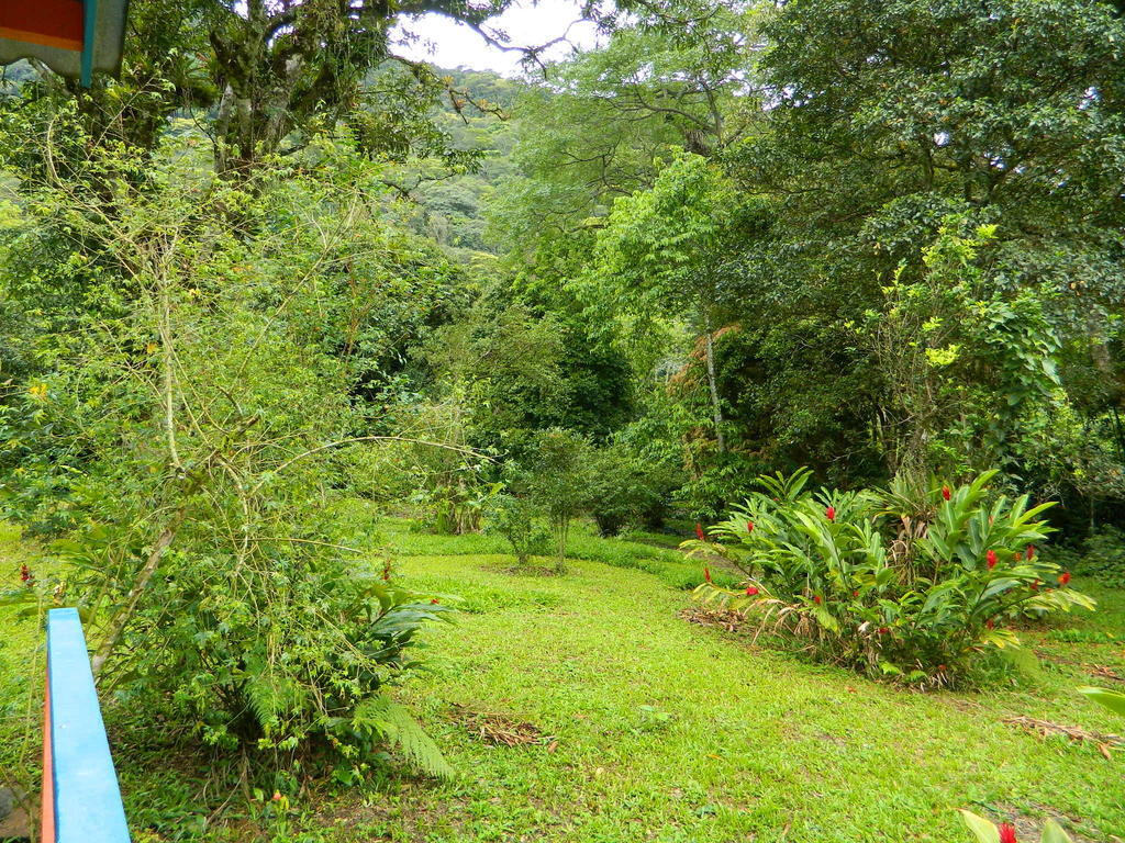 Bicho Do Mato Suites Guapimirim Exterior photo